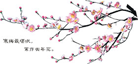yl23455(й)ɷ޹˾