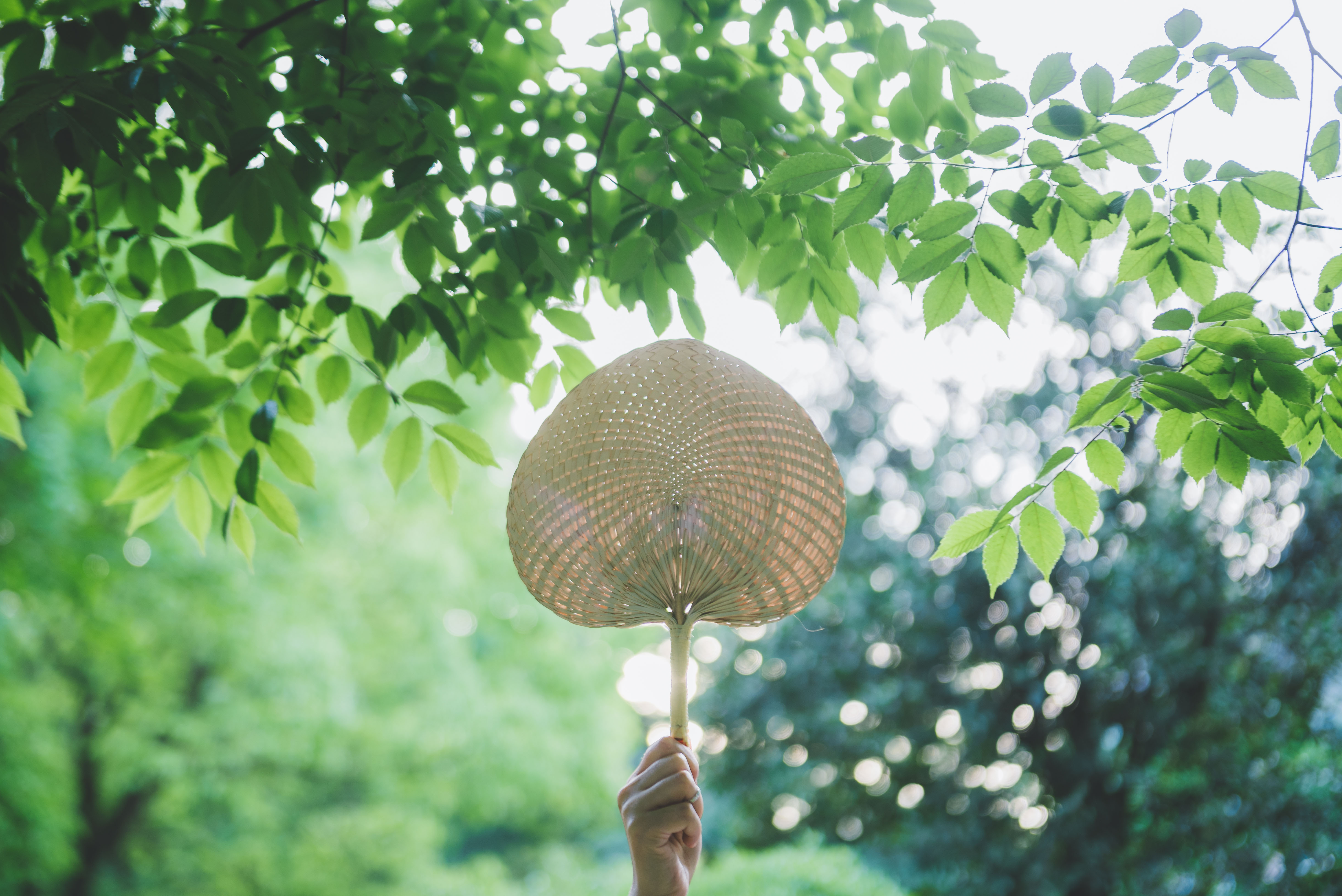 yl23455永利(中国)股份有限公司